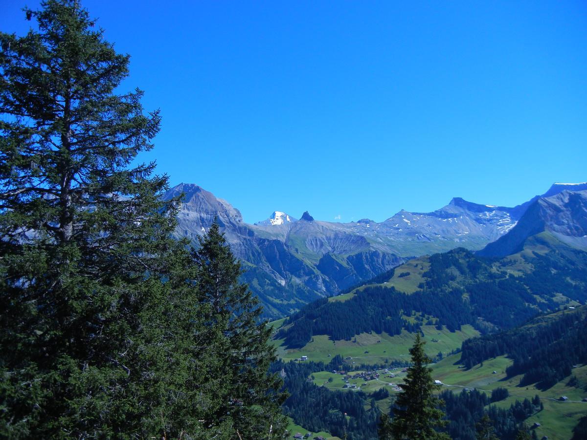 Restaurant Hotel Schermtanne Adelboden Eksteriør billede